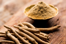 Kurztraining Wissenschaft Gedächtnis